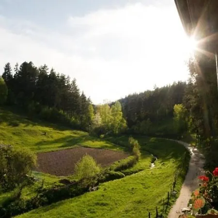Smilovene 2* Koprivstica